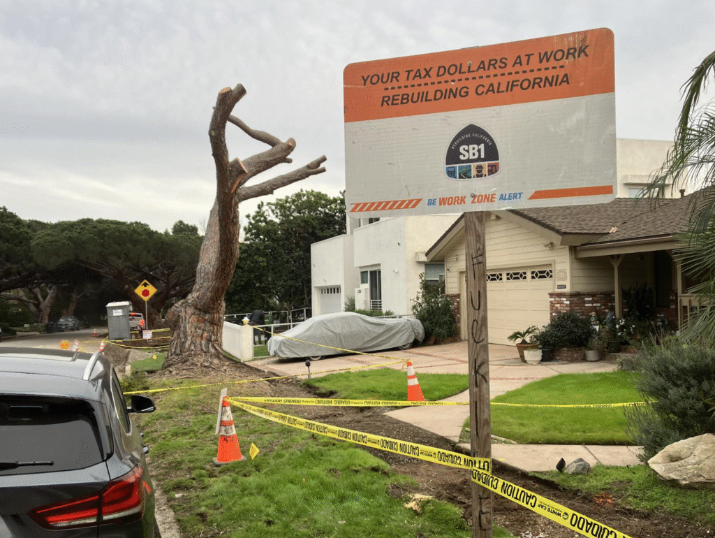 One Block Apart, Two Different Outcomes for Mar Vista’s Stone Pines